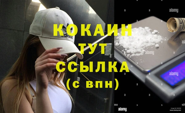 гашик Ростов