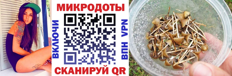 Галлюциногенные грибы мицелий  Кола 